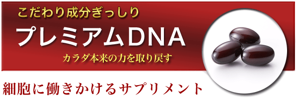 プレミアムDNA